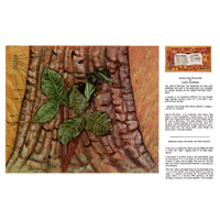 Woodland Preacher par Carol Gehrman - Série 11D Page 8