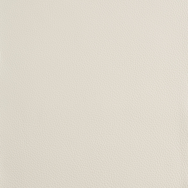 Kaleidoscope Prescott Whole Hide - Cool Tones