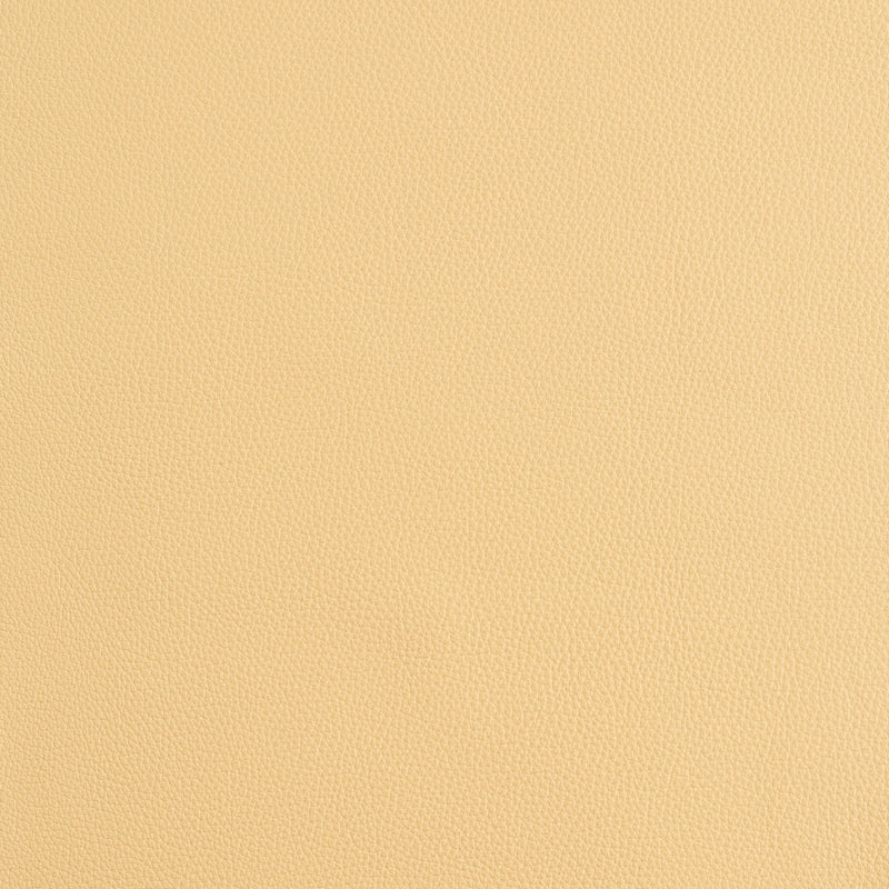 Kaleidoscope Prescott Whole Hide - Warm Tones