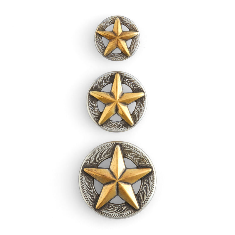 Conchos estrella de Texas 3-D