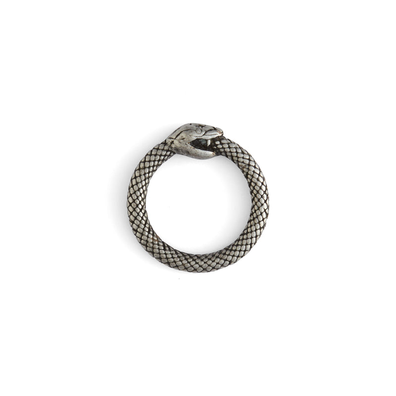 Anillos tóricos de serpiente infinita
