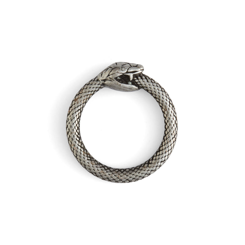 Anillos tóricos de serpiente infinita