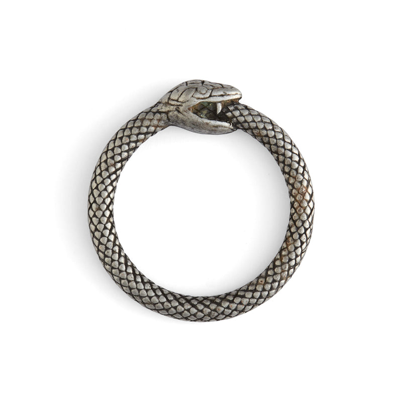 Anillos tóricos de serpiente infinita