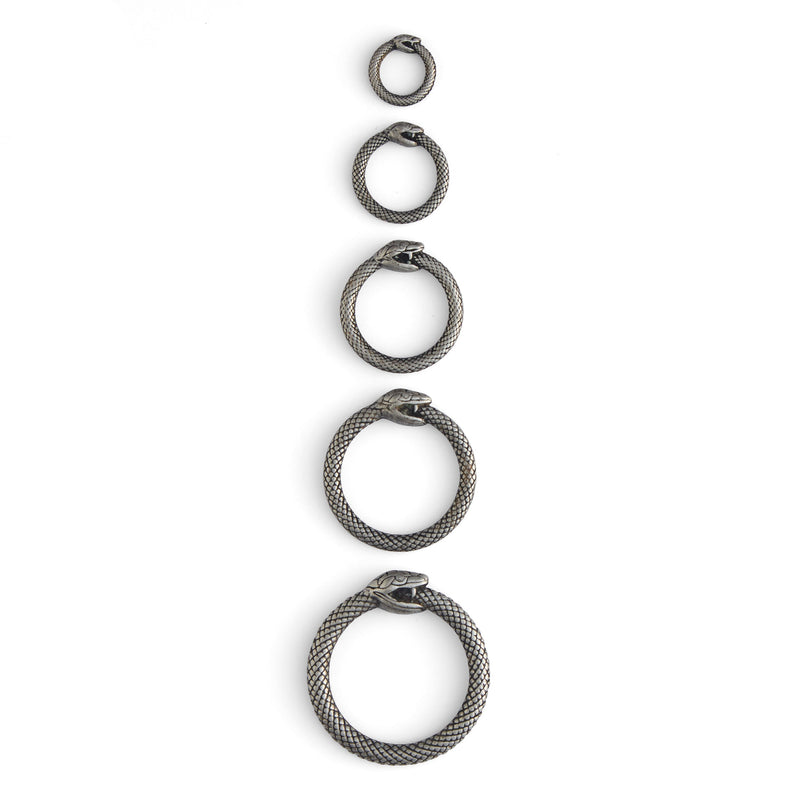 Anillos tóricos de serpiente infinita
