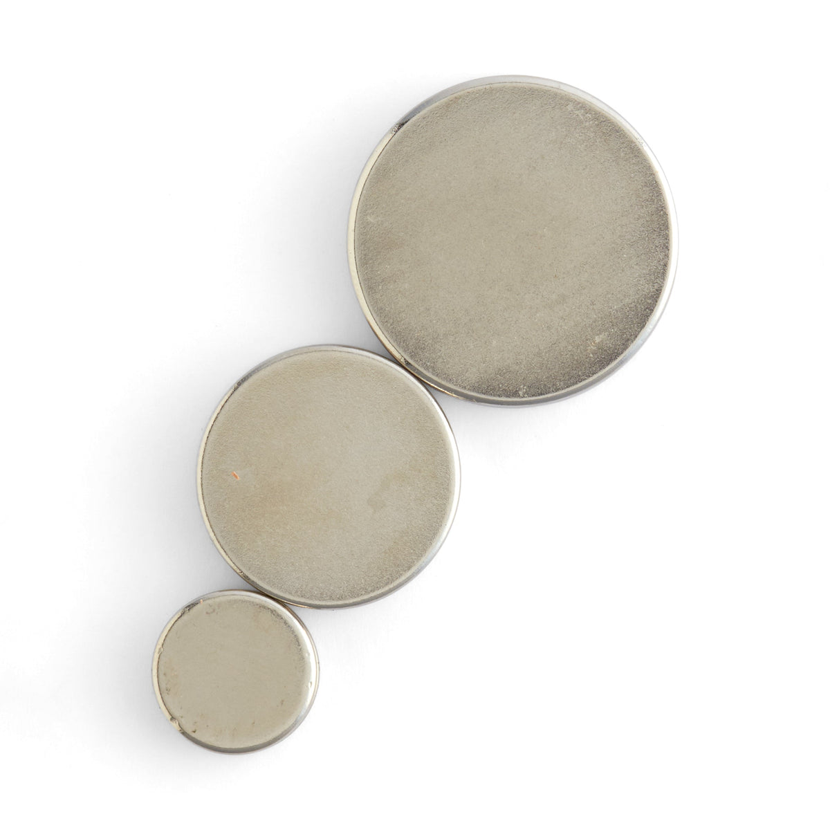 Disk Magnets | Tandy Leather — Tandy Leather, Inc.