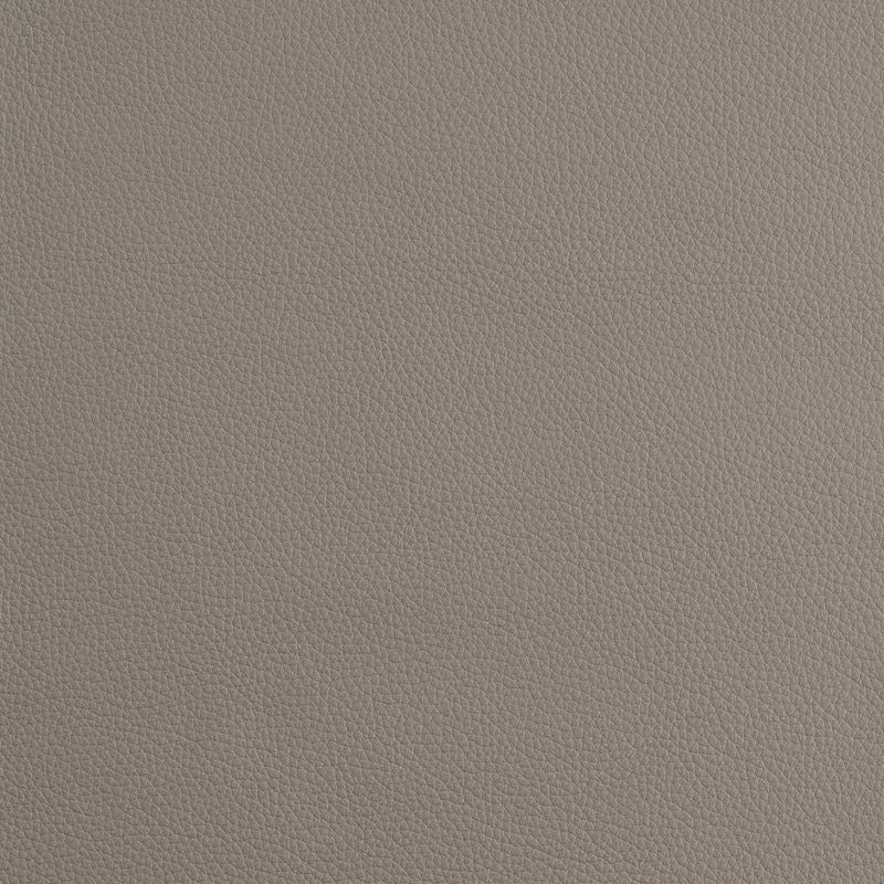 Kaleidoscope Prescott Whole Hide - Cool Tones