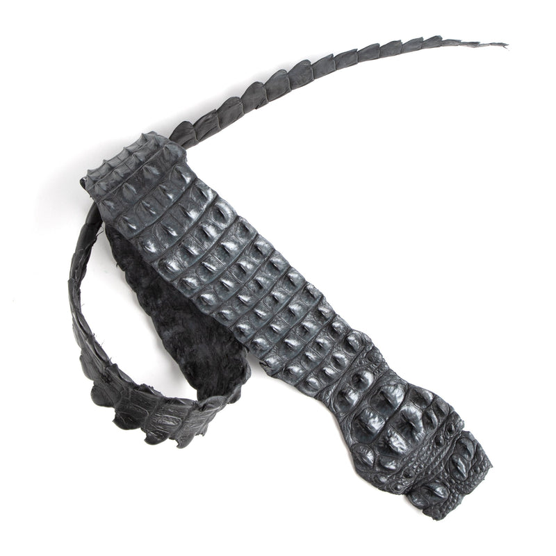 Crocodile Backstrap
