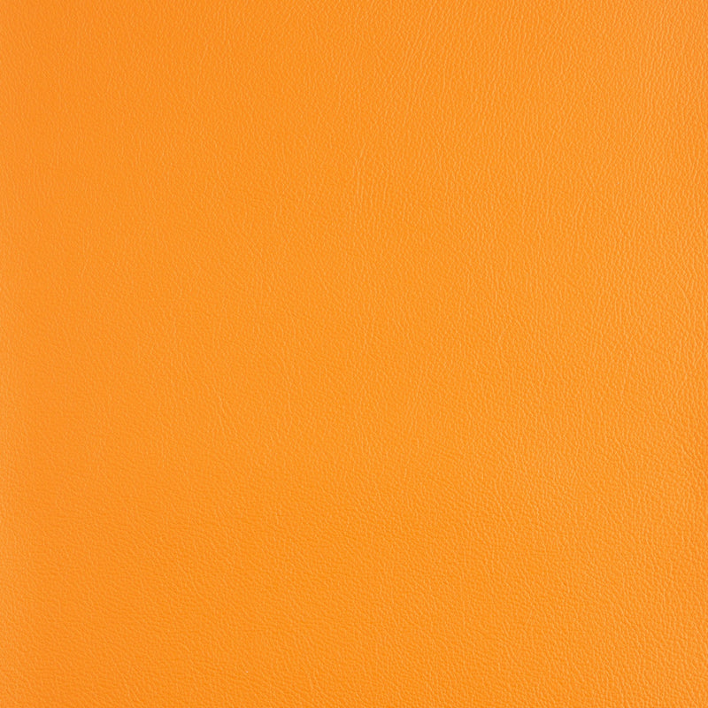 Kaleidoscope Linea Whole Hide - Brights