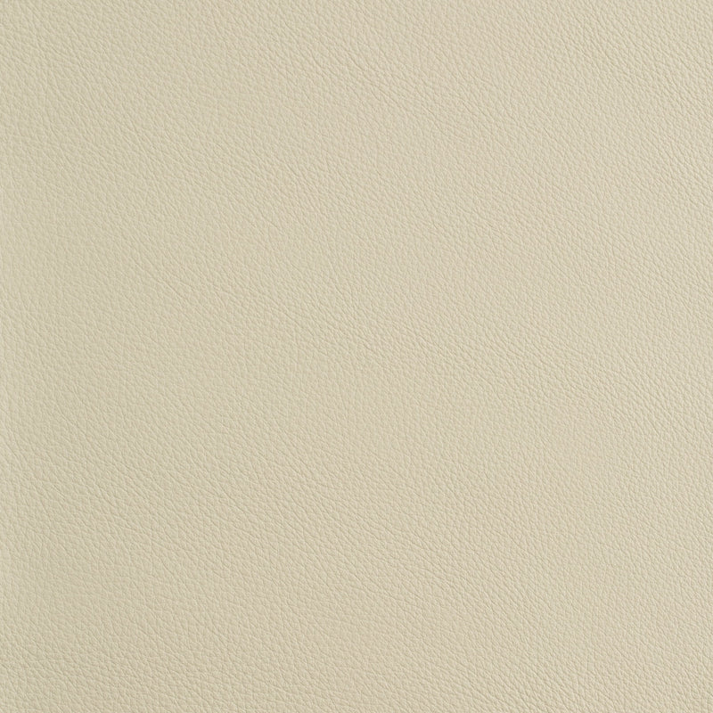Kaleidoscope Prescott Whole Hide - Cool Tones