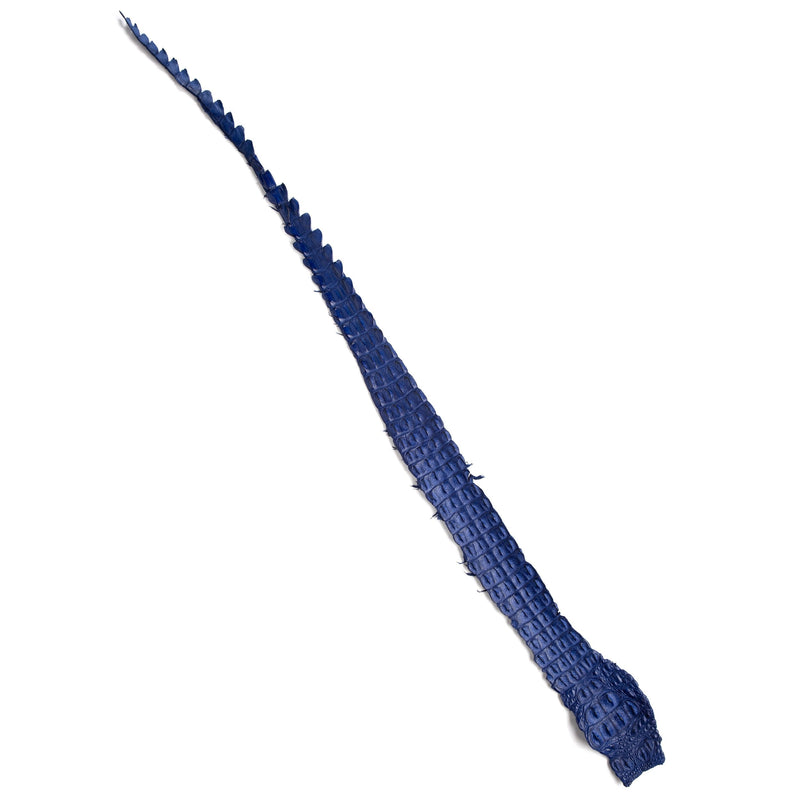 Crocodile Backstrap