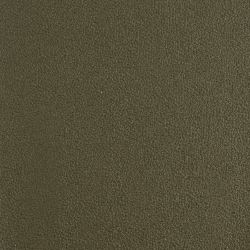Kaleidoscope Prescott Whole Hide - Cool Tones