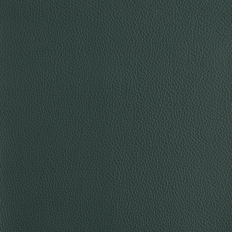 Kaleidoscope Prescott Whole Hide - Cool Tones