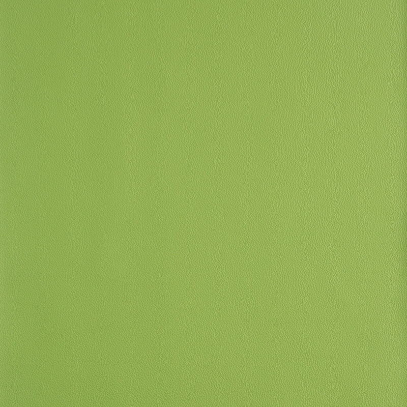 Kaleidoscope Linea Whole Hide - Brights