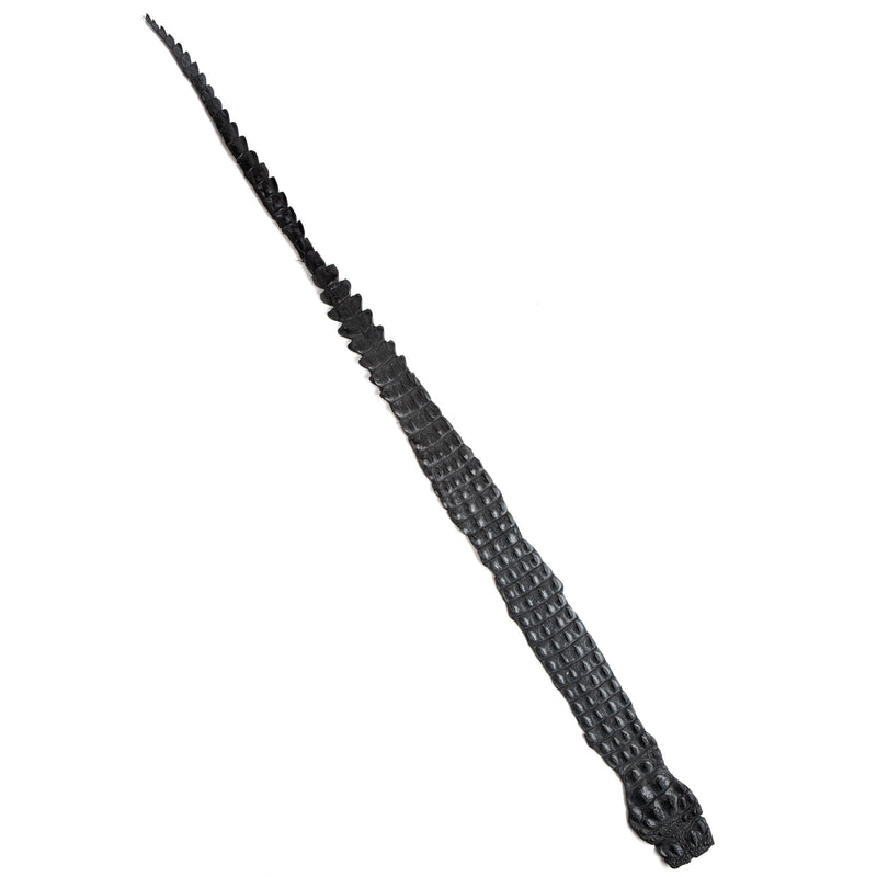 Crocodile Backstrap
