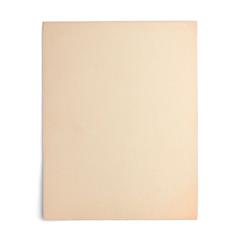 Veg-Tan Tooling Leather Craft Cut