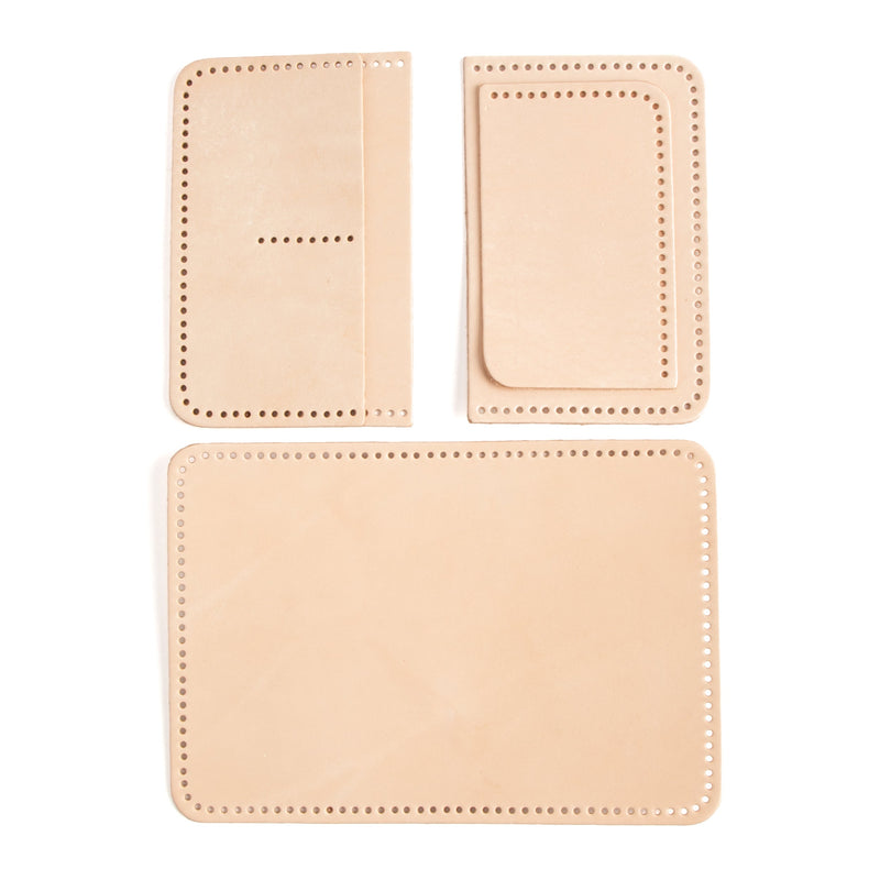 Cartera para pasaporte de piel, paquete de 10