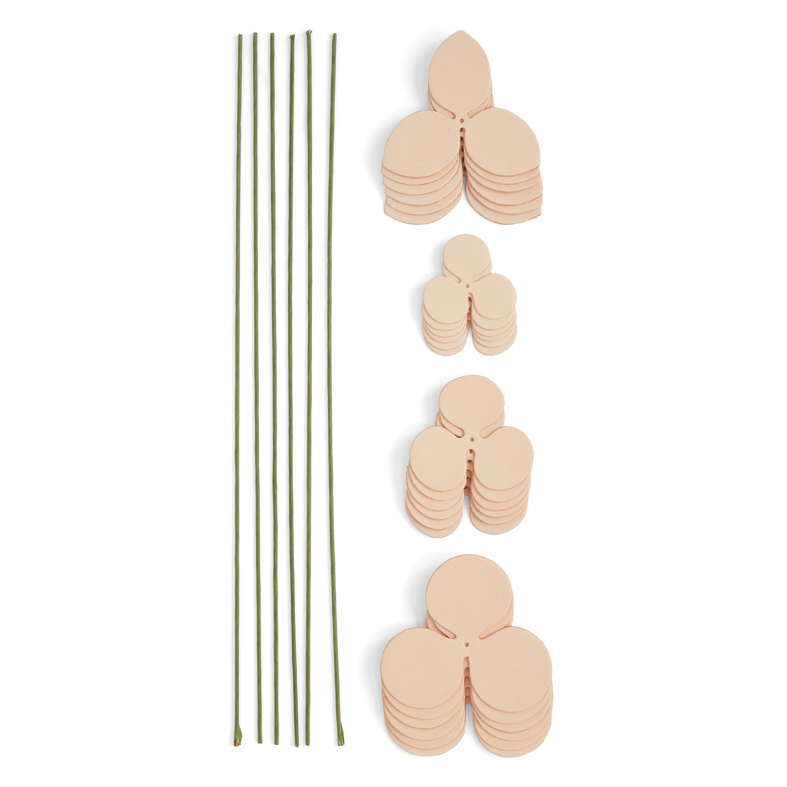 Rose Kit 6 Pack | Tandy Leather — Tandy Leather, Inc.