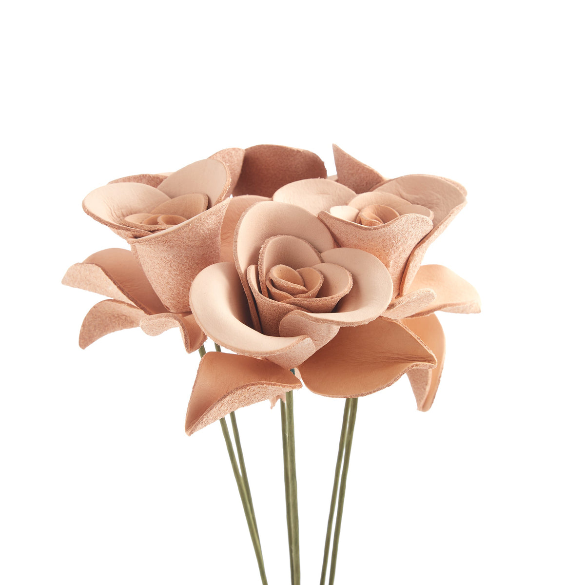 44701-00-HALF-DOZEN-ROSE-KIT-