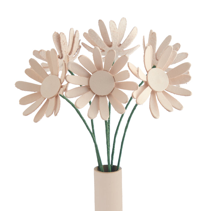 Half Dozen Daisies Kit