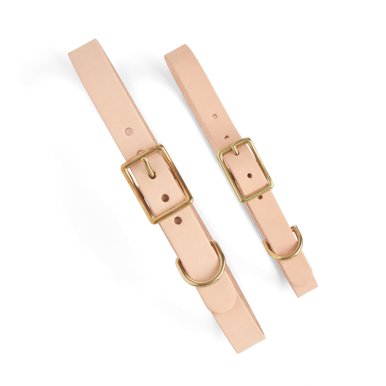 Dog Collar & Leash Kits