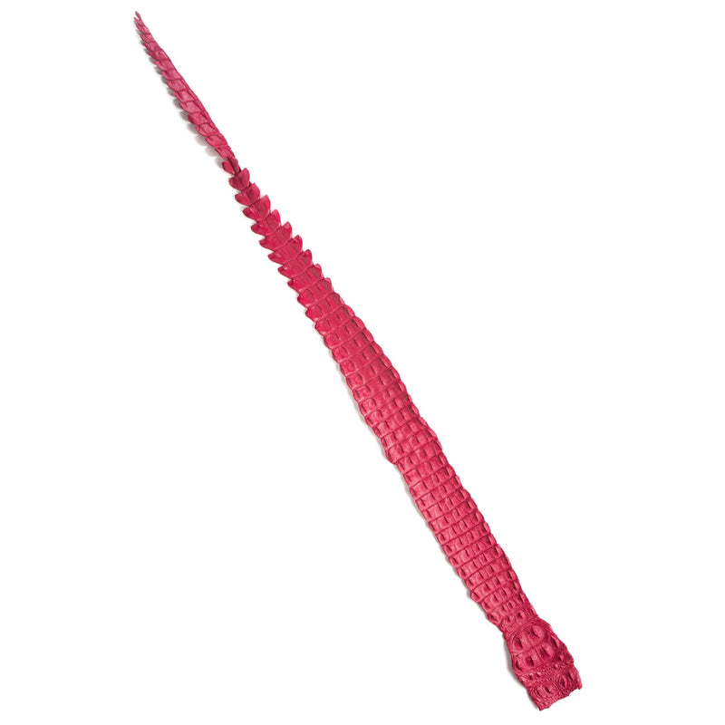 Crocodile Backstrap