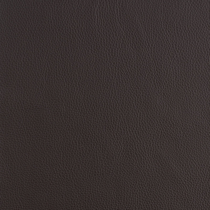 Kaleidoscope Prescott Whole Hide - Cool Tones