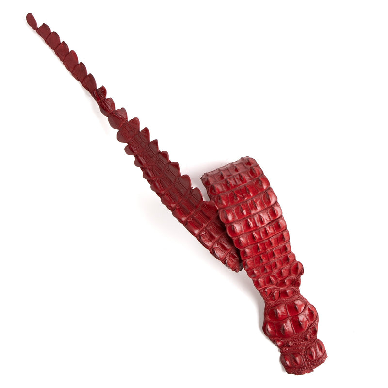 Crocodile Backstrap