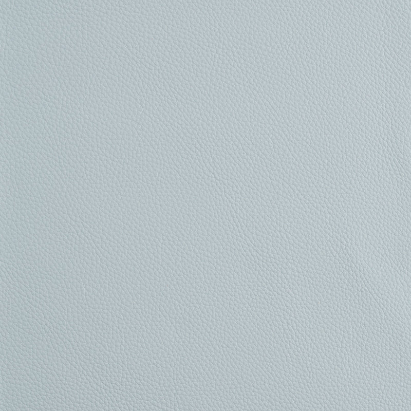 Kaleidoscope Prescott Whole Hide - Cool Tones