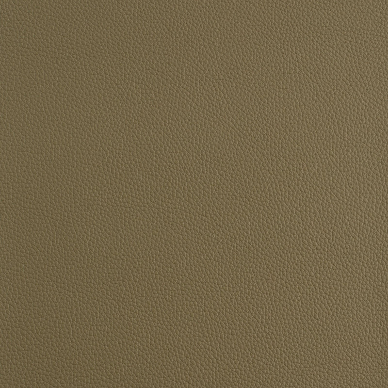 Kaleidoscope Prescott Whole Hide - Cool Tones