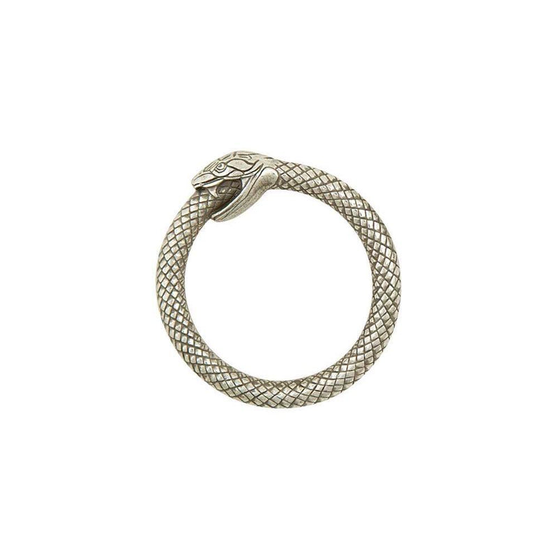 Anillos tóricos de serpiente infinita