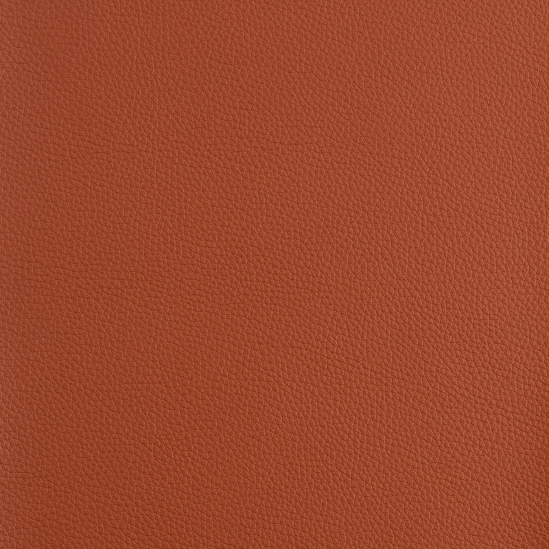 Kaleidoscope Prescott Whole Hide - Warm Tones