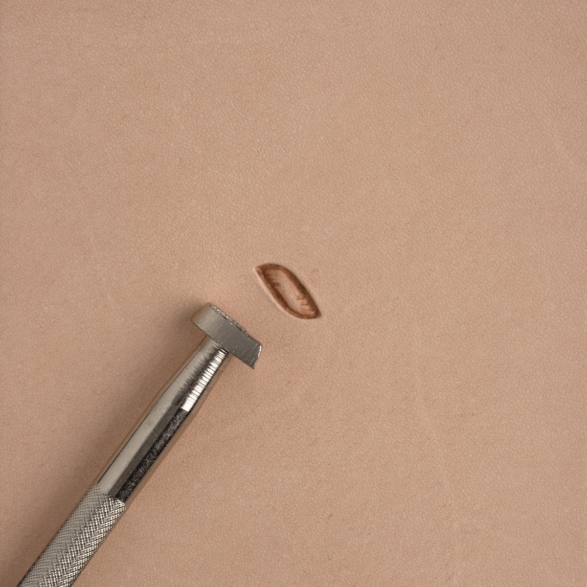 Craftool® Rope Stamp — Tandy Leather, Inc.