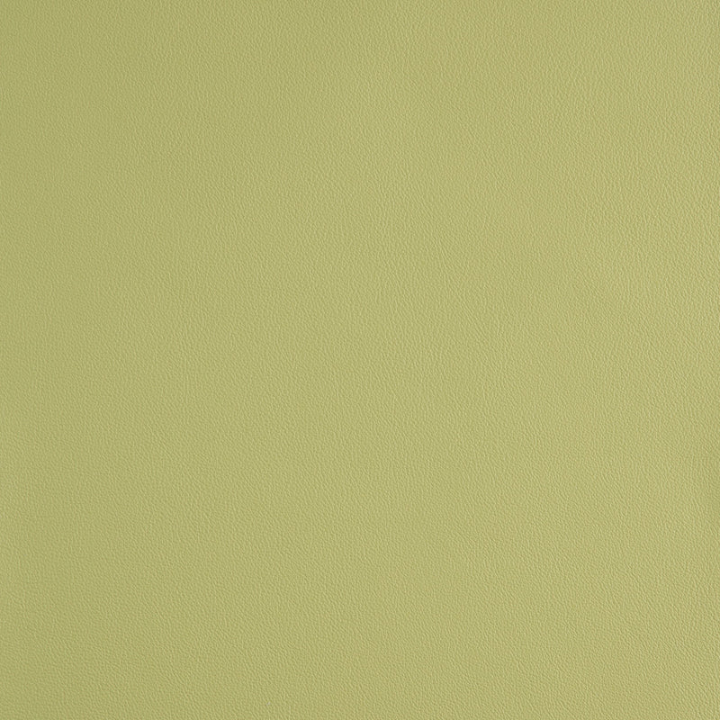 Kaleidoscope Linea Whole Hide - Brights