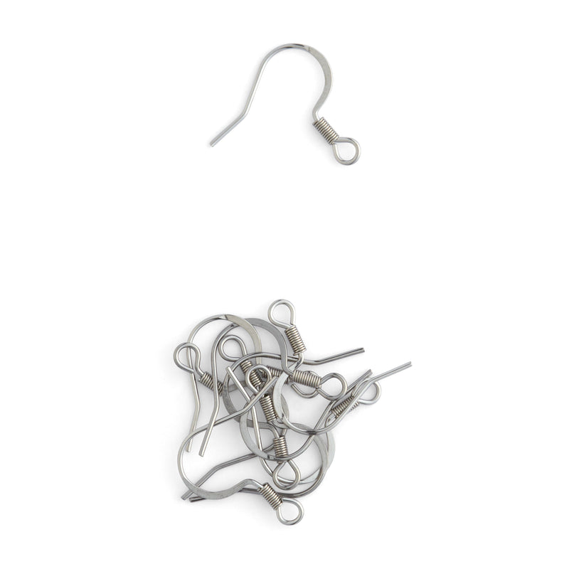Stainless Steel Earring Hooks 10 Pack