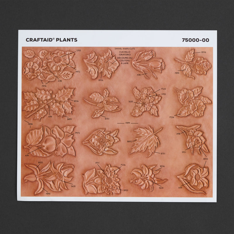 Plantas Craftaid®