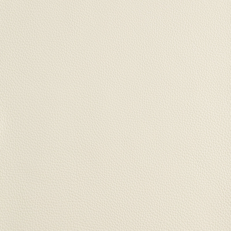 Kaleidoscope Prescott Whole Hide - Cool Tones
