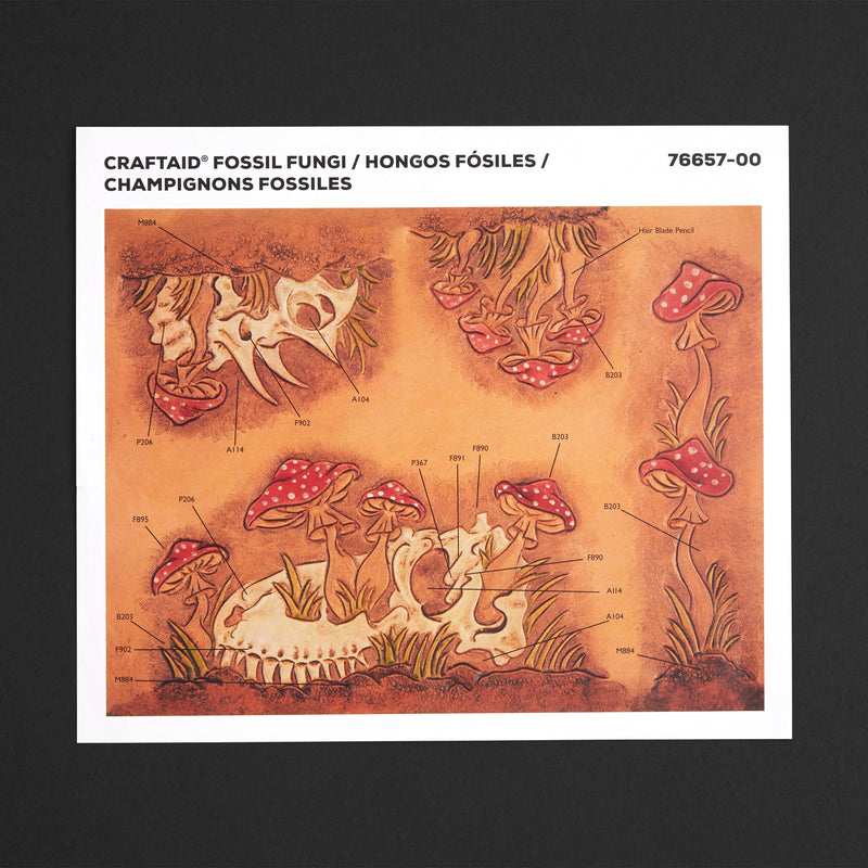 Champignons fossiles Craftaid®