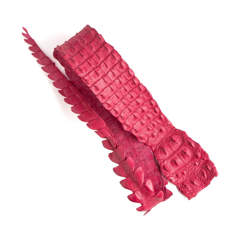Crocodile Backstrap