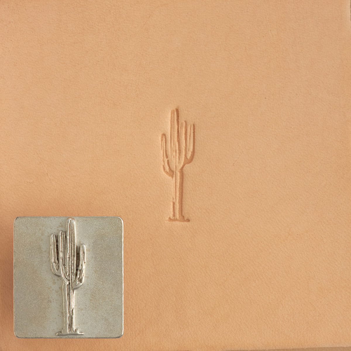 Craftool® Stamp Head Cactus | Tandy Leather — Tandy Leather, Inc.