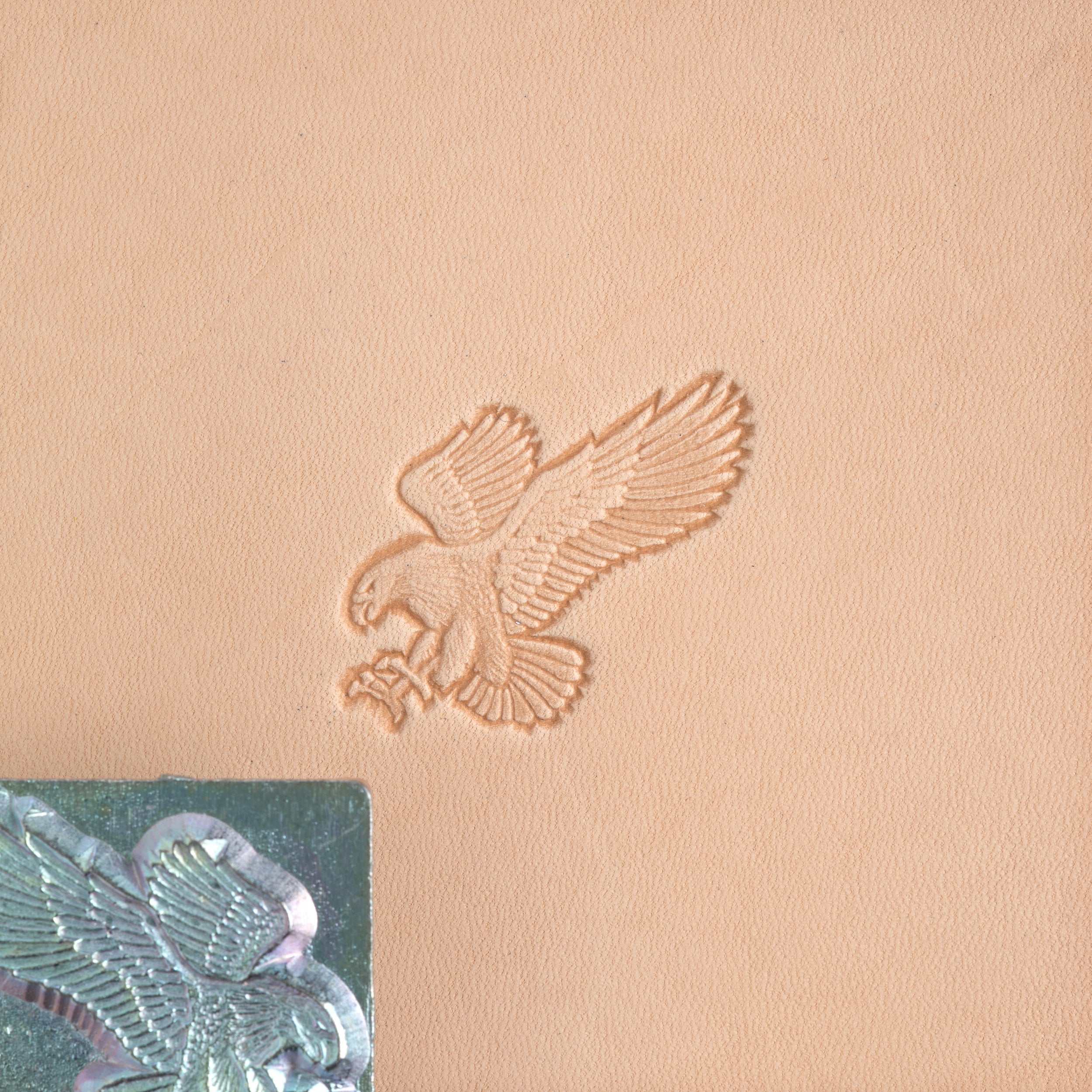 Craftool® Stamp Head Attack Eagle | Tandy Leather — Tandy Leather