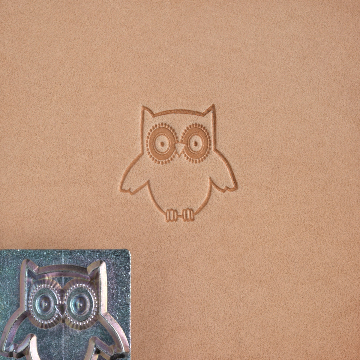 Owl デモ CD 3枚セット BOO!! RE:BONE FLAP 8678-00-Craftool-3-D-Stamp-Owl
