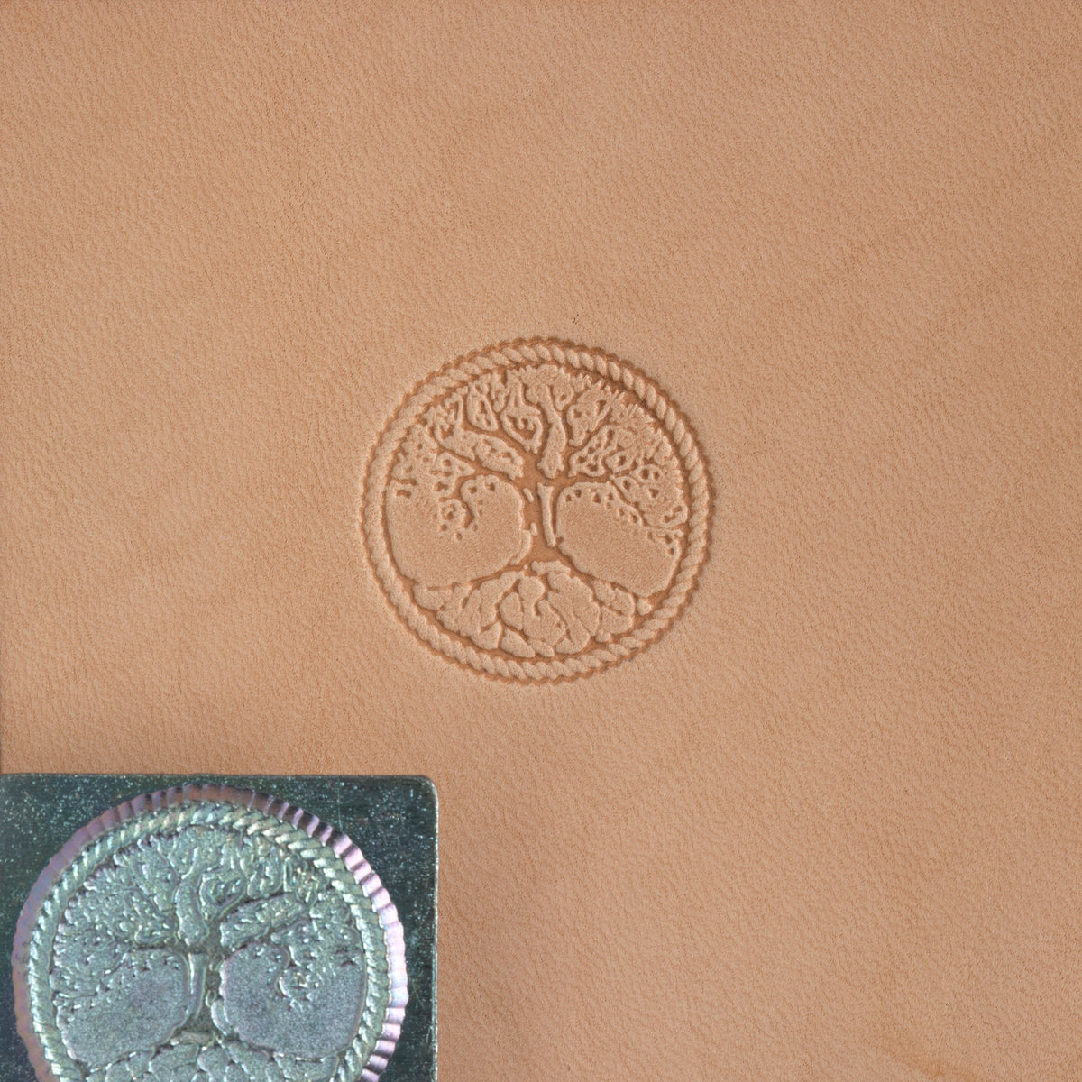 money tree stamp Craftool® Stamp Head Tree Of Life