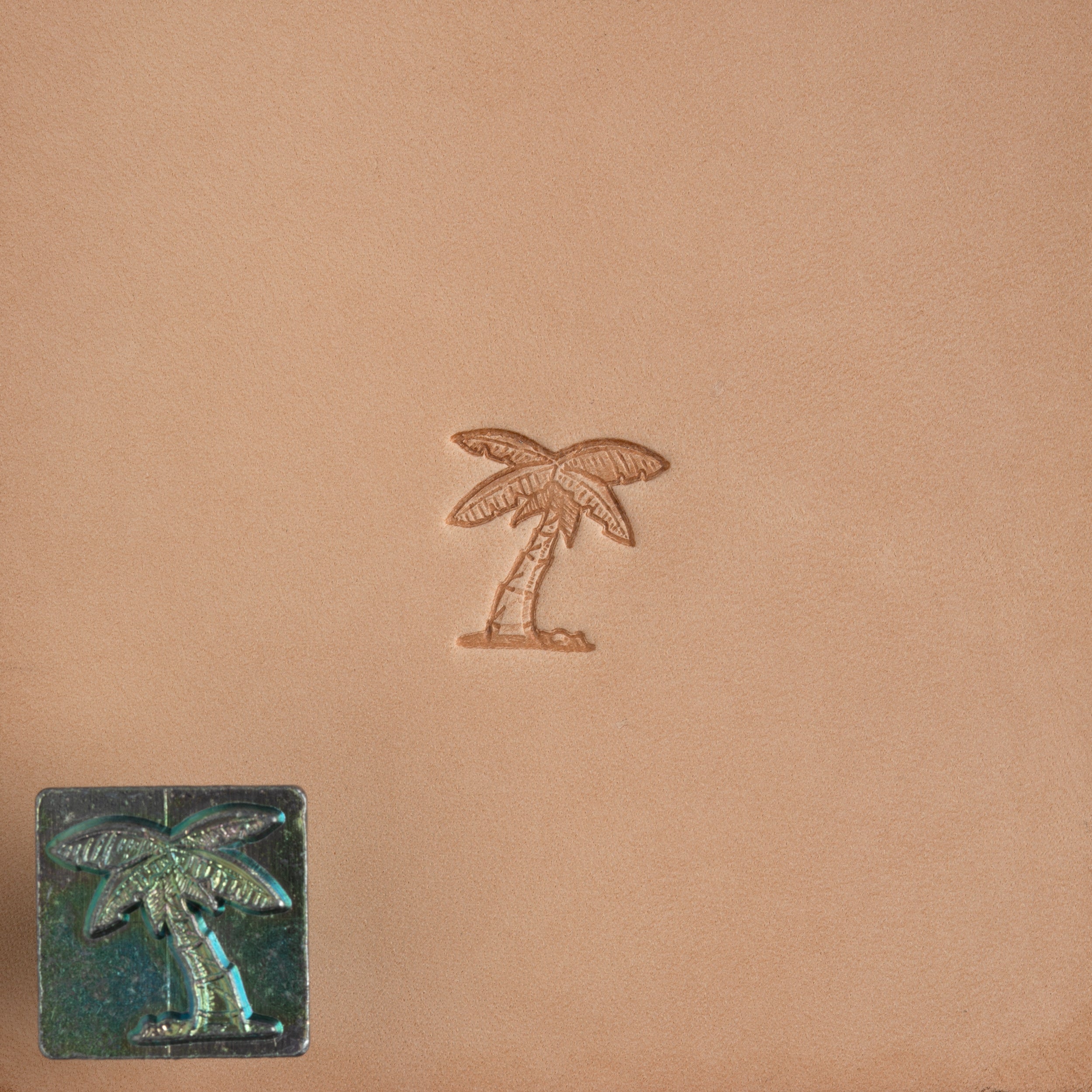 Craftool® Small Stamp Head Palm Tree | Tandy Leather — Tandy