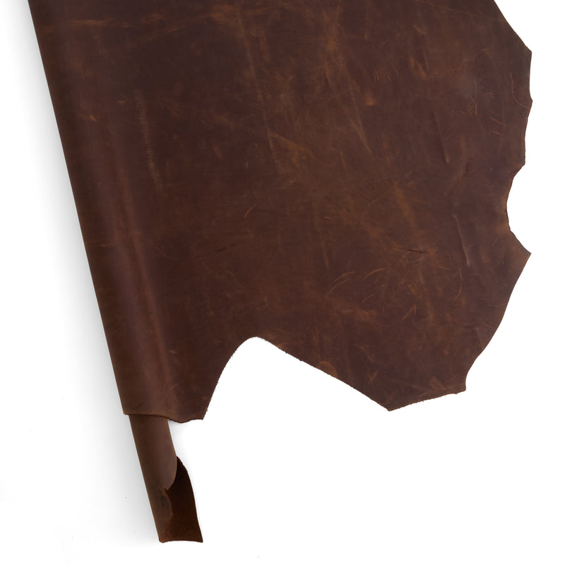 Fossil Utility Lateral Marrón