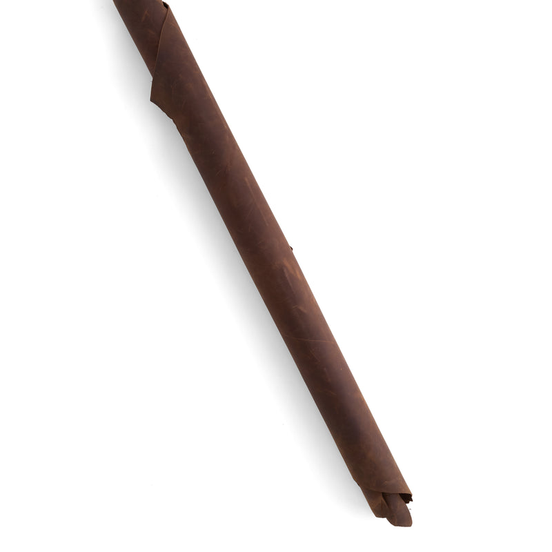 Fossil Utility Lateral Marrón