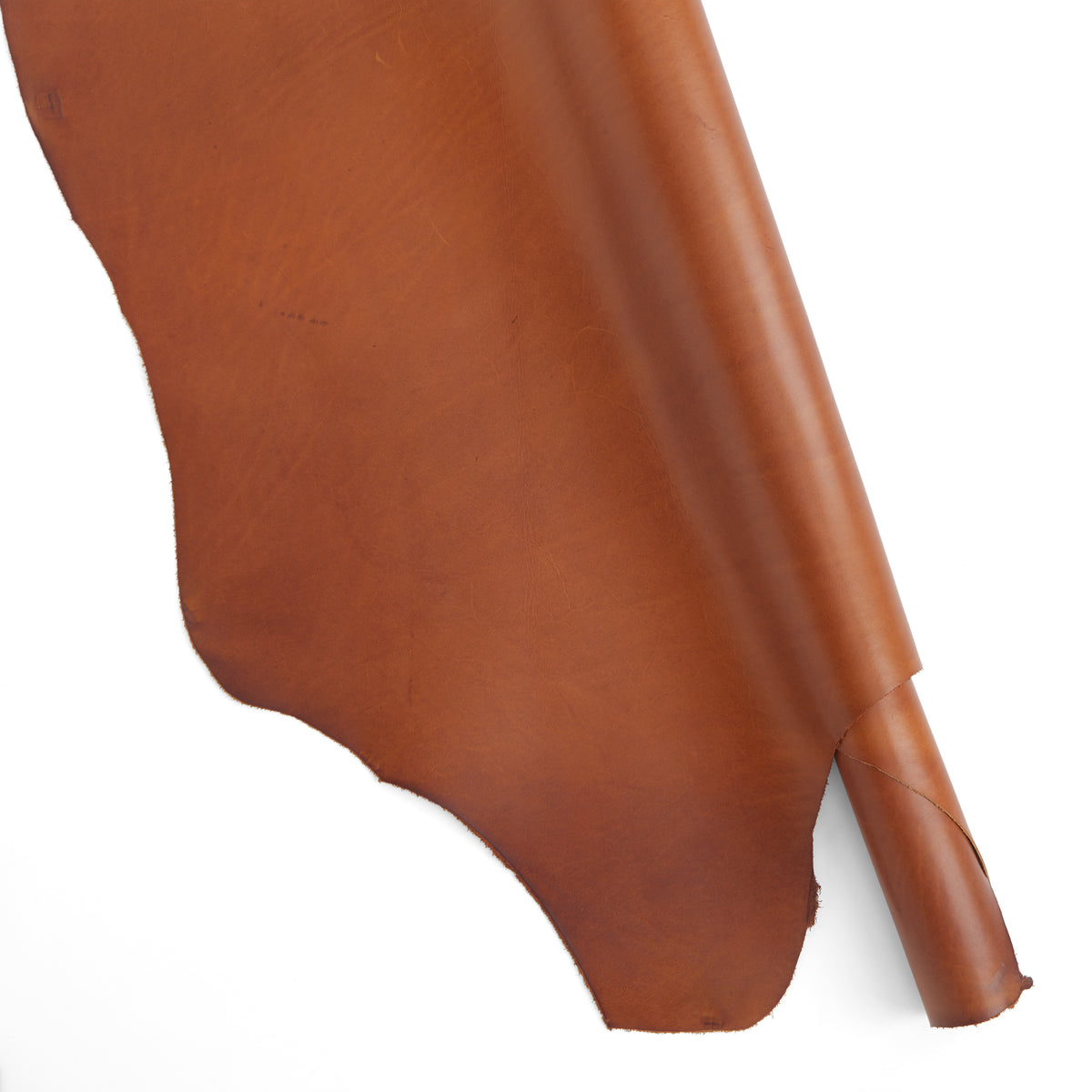 Tandy Leather High Sierra Concho 1 inch (25 mm) 7941-02