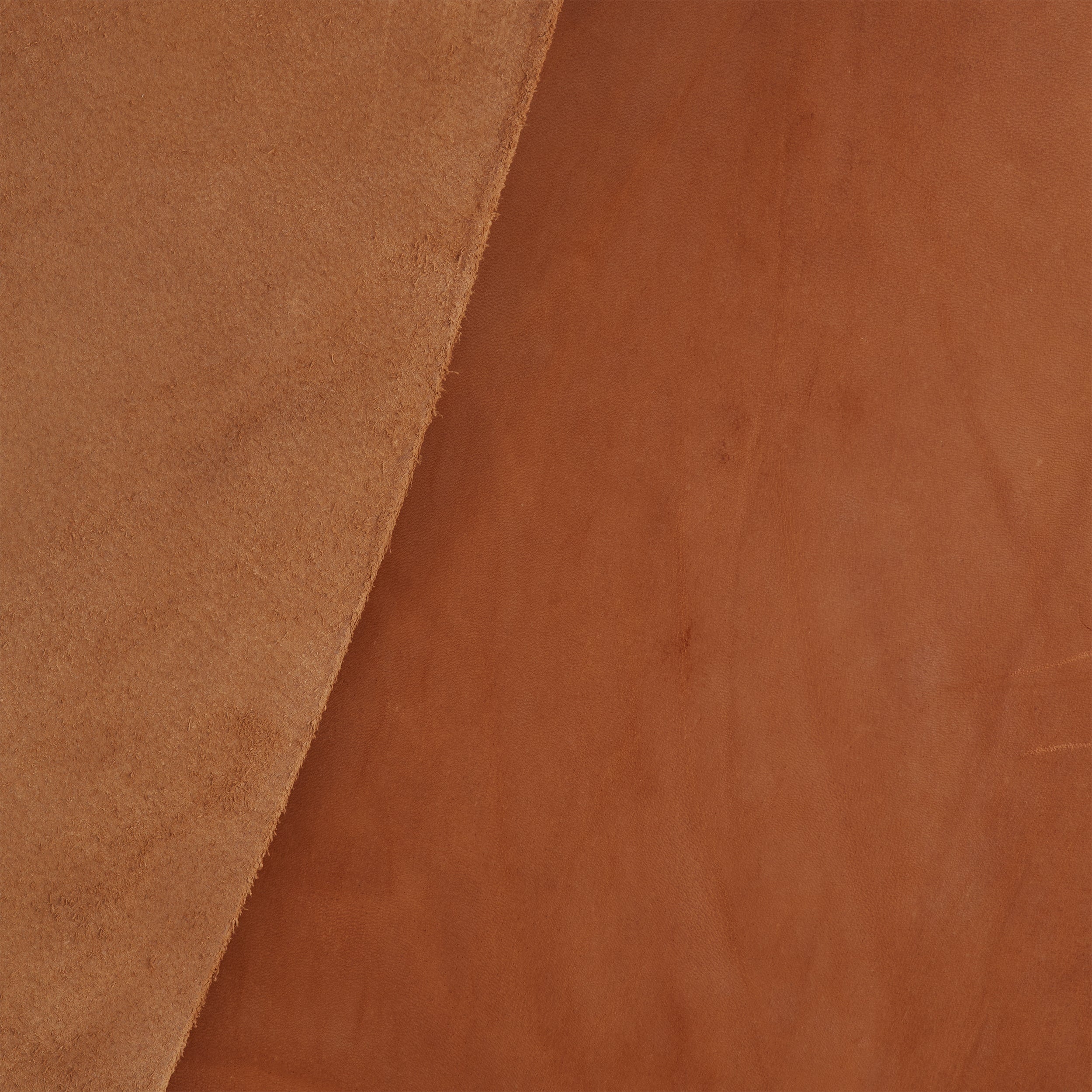 Bellie Embroidered Sleeve Tan