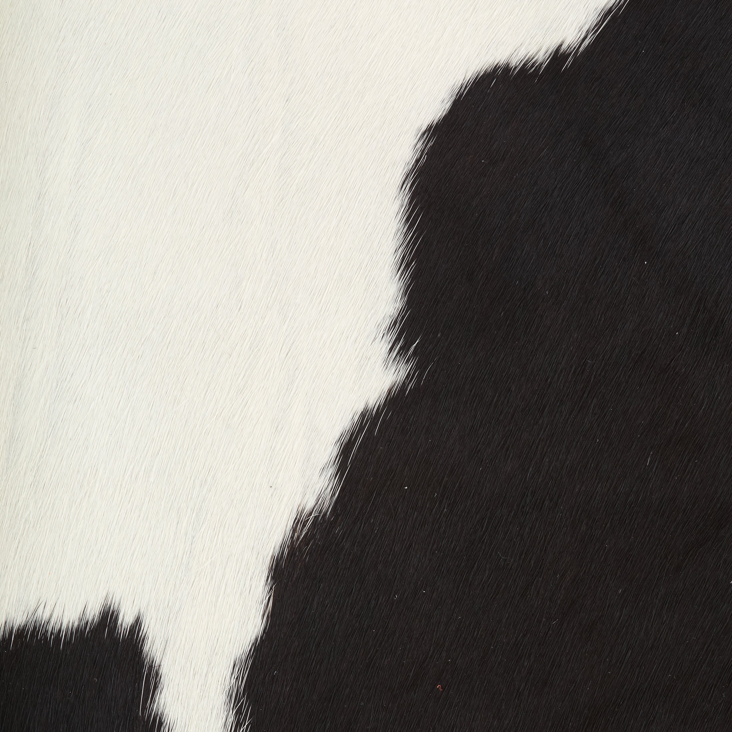 Hair-On Cowhide Rugs Black & White | Tandy Leather — Tandy Leather