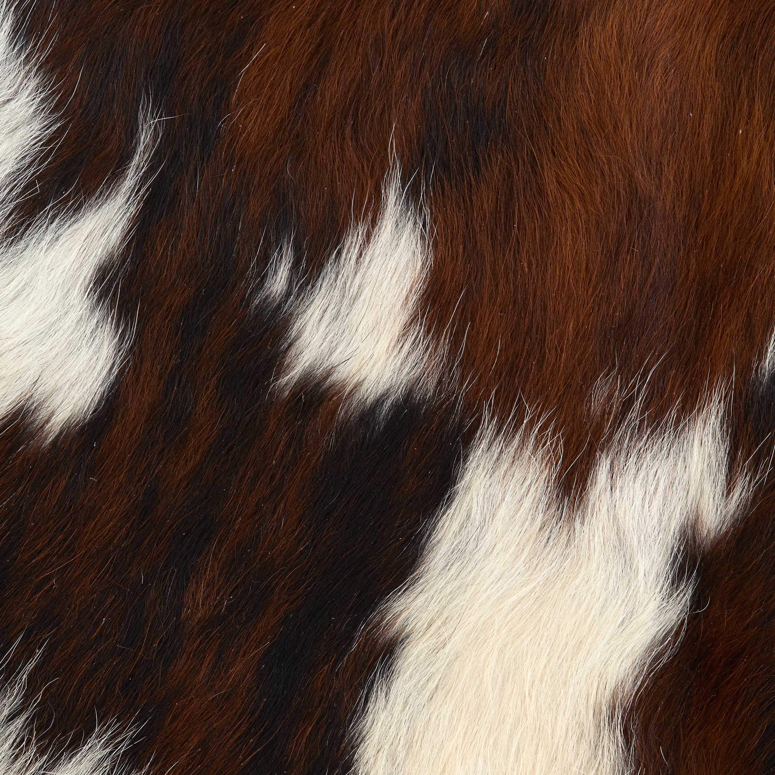 Hair-On Cowhide Rug Exotic | Tandy Leather — Tandy Leather, Inc.