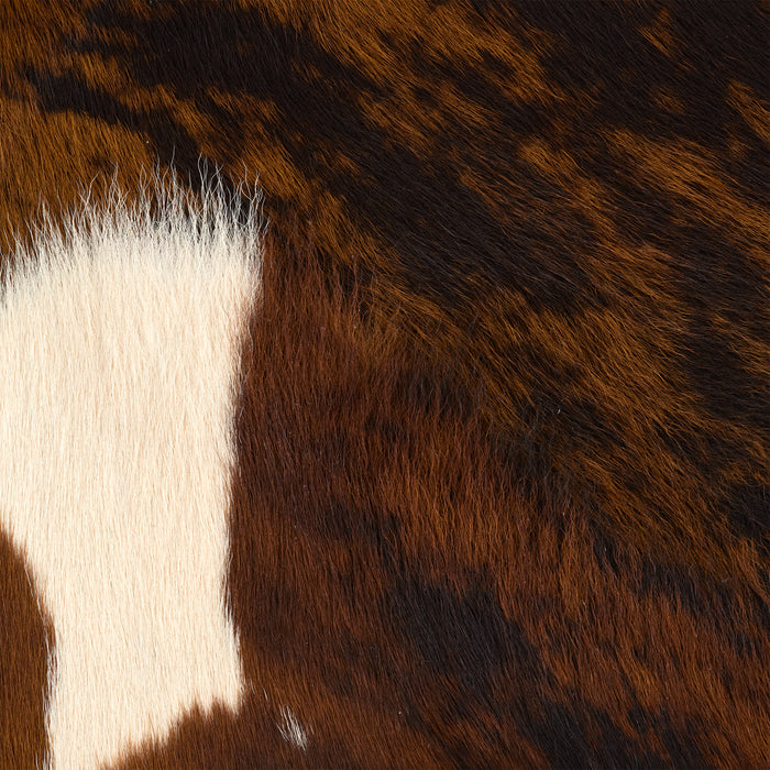 Hair-On Calfskin Exotic | Tandy Leather — Tandy Leather, Inc.